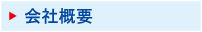 ЊTv